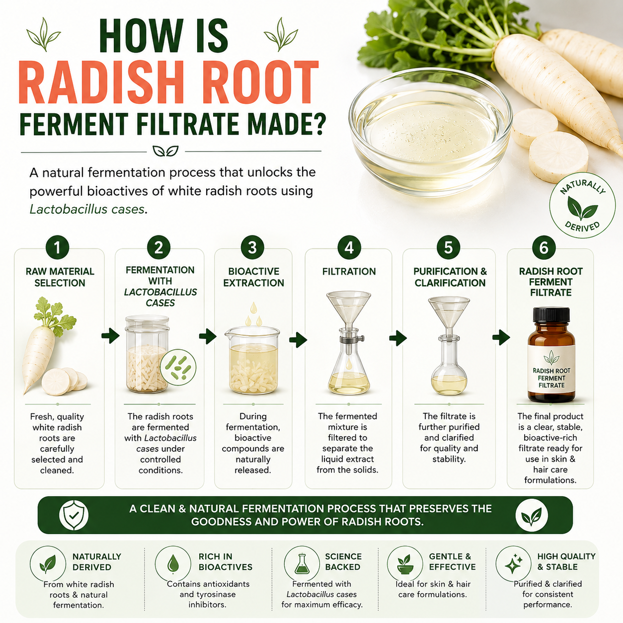 Radish Root Bio Ferment Filtrate Skin Whitening 100ml Hollywood Secrets