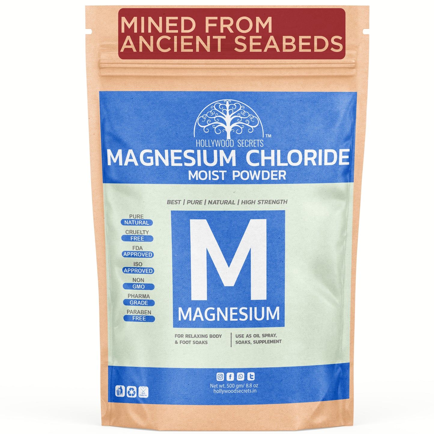 Pure Magnesium Chloride Moist Powder Food Grade(500 Gms) Hollywood Secrets