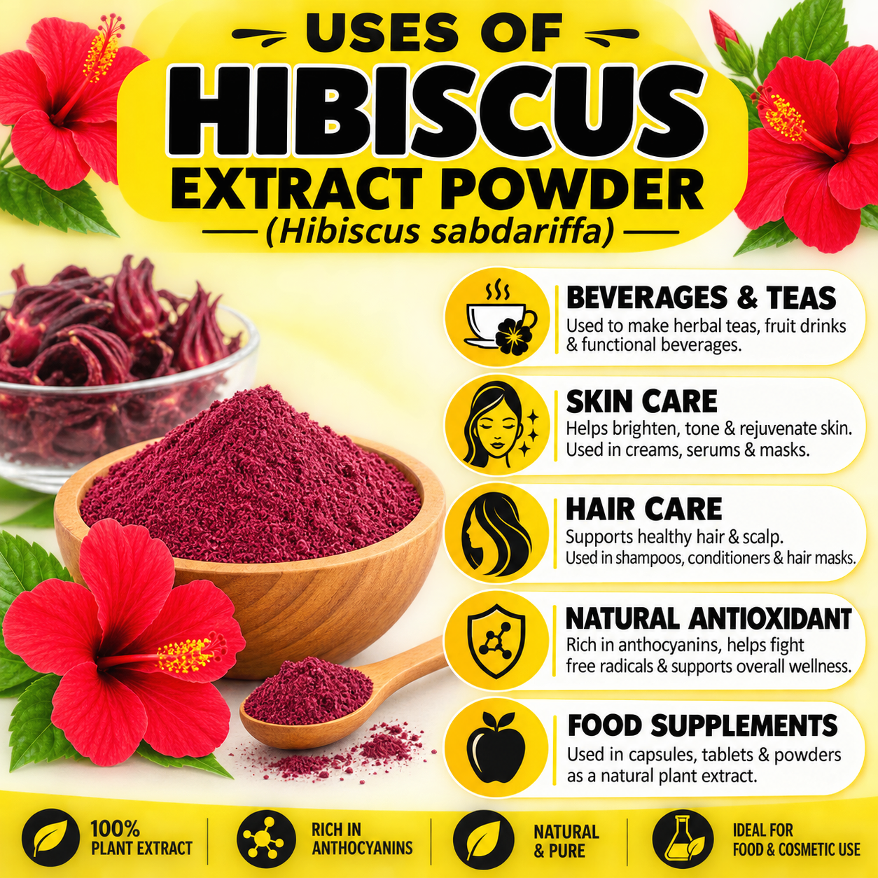 Pure Hibiscus Extract 50gm Hollywood Secrets