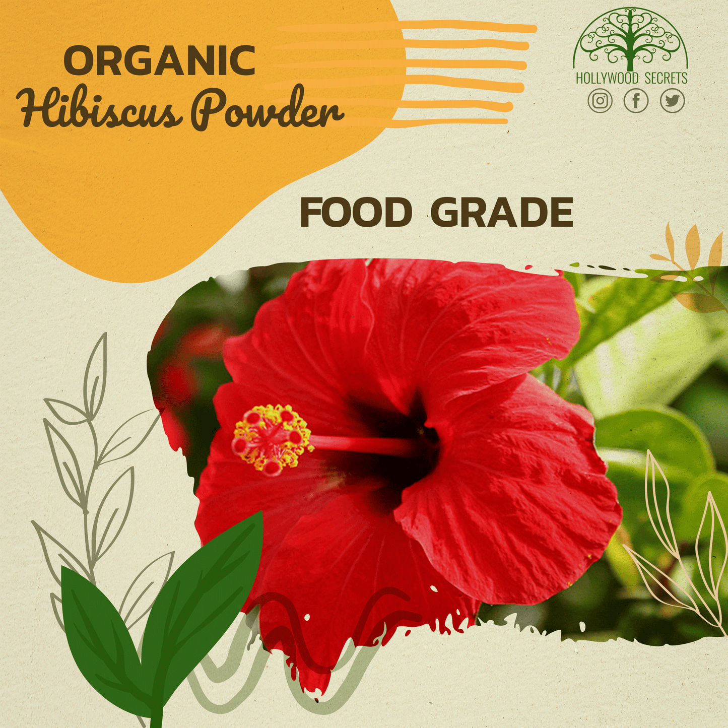 Organic Hibiscus Powder Food Grade (100 Gms) Hollywood Secrets