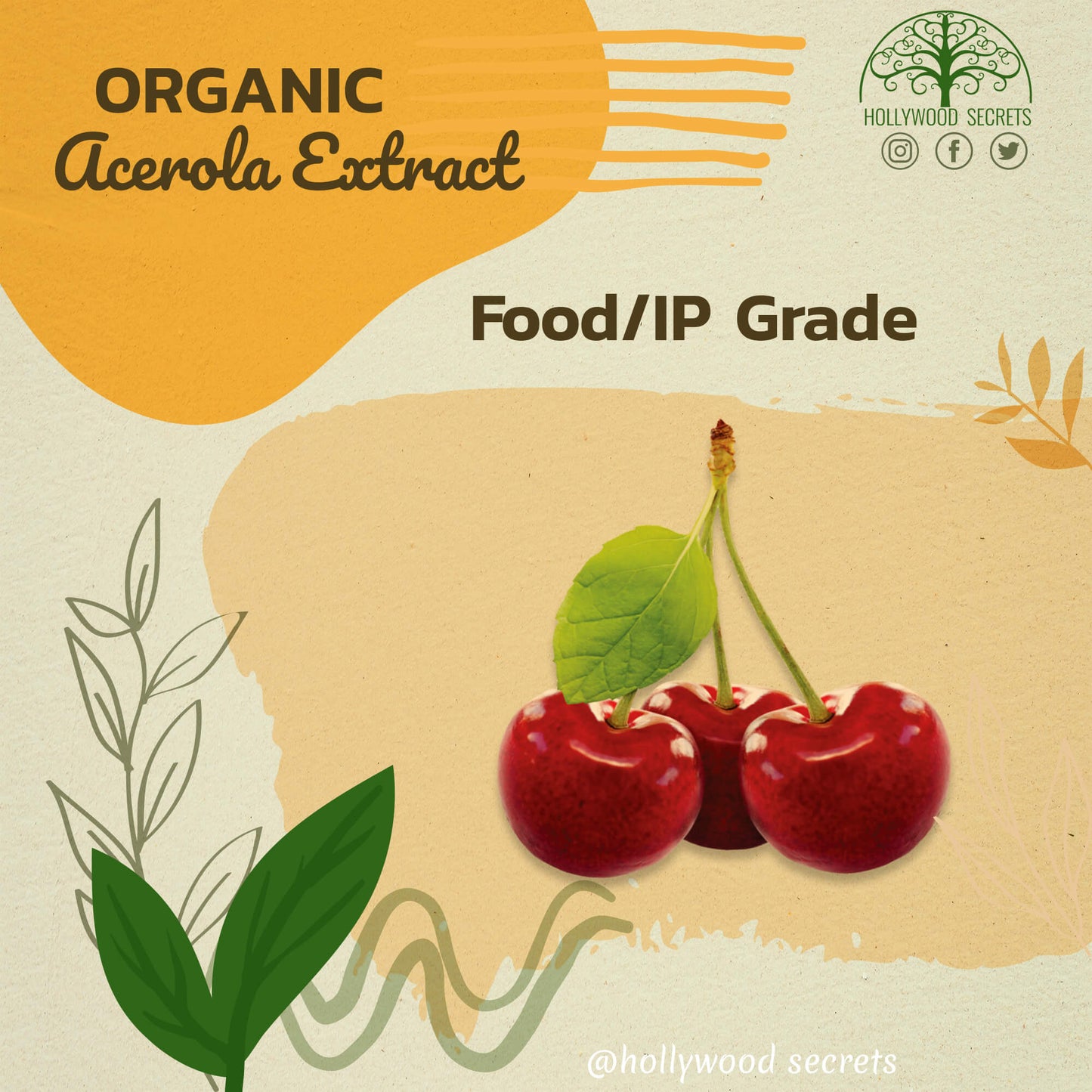 Pure Acerola Extract Powder Supplements 25% Vitamin C 50gm Hollywood Secrets