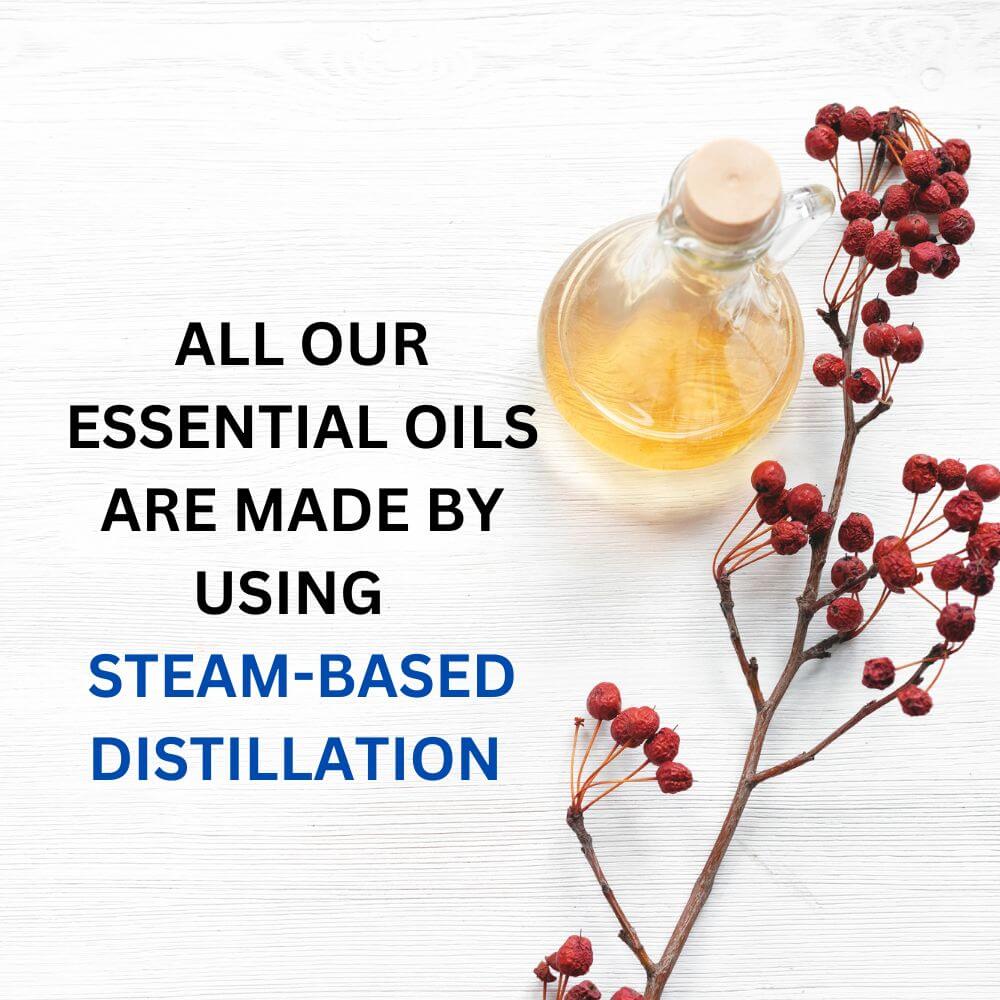 Pure Lemon Essential Oil Therapeutic Grade Hollywood Secrets
