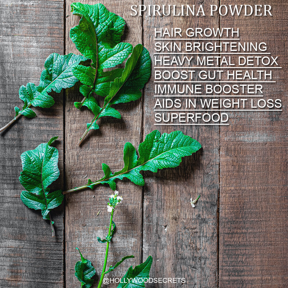 Organic Spirulina Powder 100Gms Hollywood Secrets