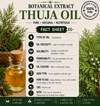 Thuja Oil Pure Cold Pressed Hollywood Secrets