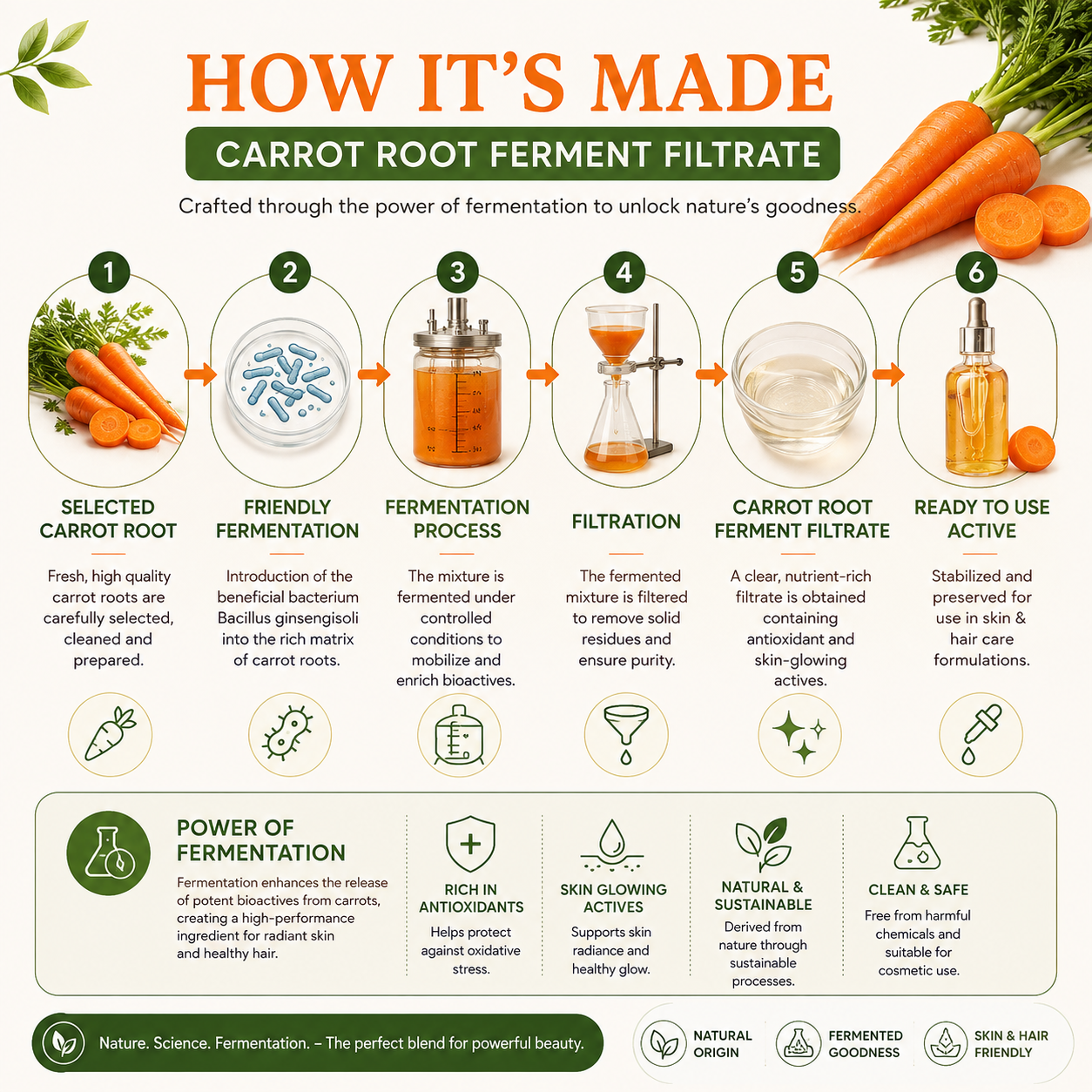 Carrot Root Bio Ferment Filtrate Skin Whitening 100ml Hollywood Secrets