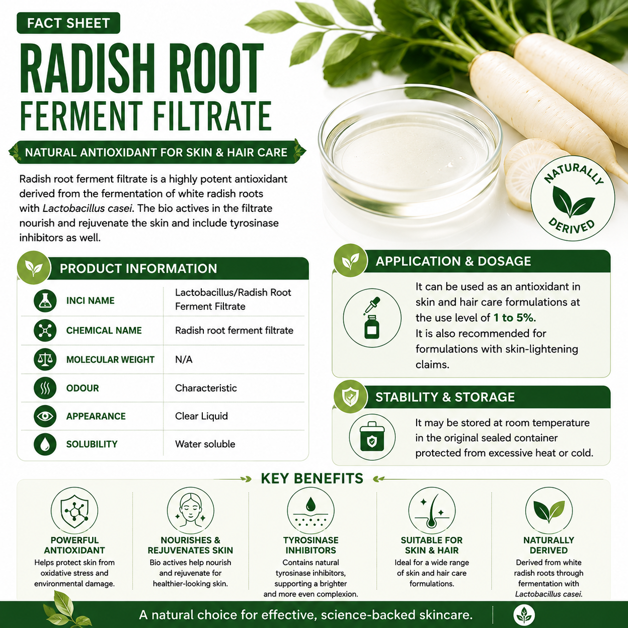 Radish Root Bio Ferment Filtrate Skin Whitening 100ml Hollywood Secrets