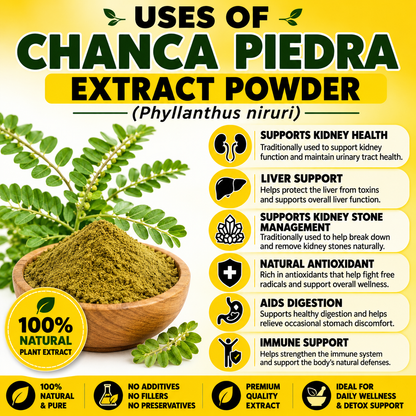 Pure Chanca Piedra Extract Powder 50gm Hollywood Secrets