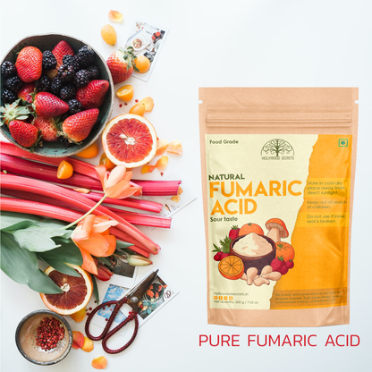 Organic Fumaric Acid 200gm Hollywood Secrets