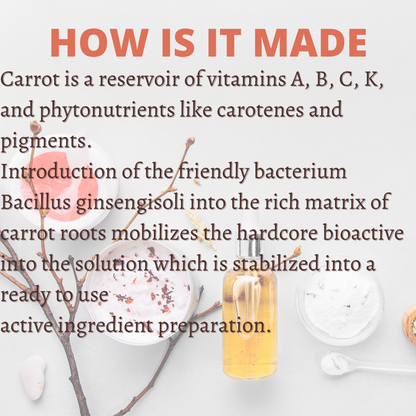 Carrot Root Bio Ferment Filtrate Skin Whitening 100ml Hollywood Secrets